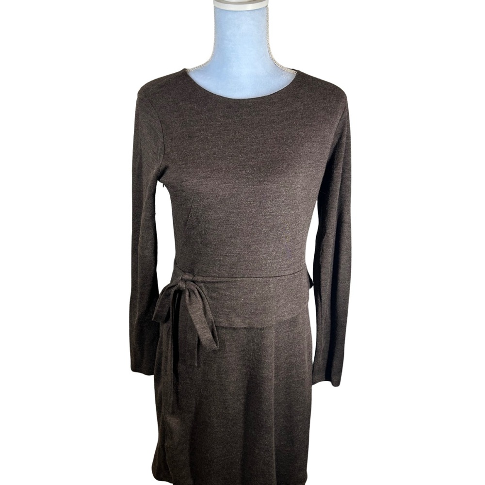 Ann Taylor Chocolate Long Sleeve Dress